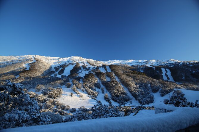 1 Day Thredbo Snow Tour - What the $121.21 price really covers