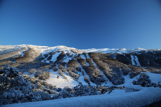 1 Day Thredbo Snow Tour - Weather, cancellations, and the booking decision