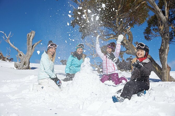 1 Day Thredbo Snow Tour From Sydney - What the guide adds to a large coach trip
