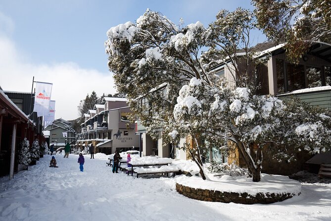 1 Day Thredbo Snow Tour From Sydney - The 3 pm departure and return to Sydney