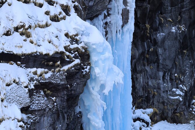 3.5hours Primeval Forest Snowshoe hike and Wildlife Watching Tour - A small group makes the walk easier to manage