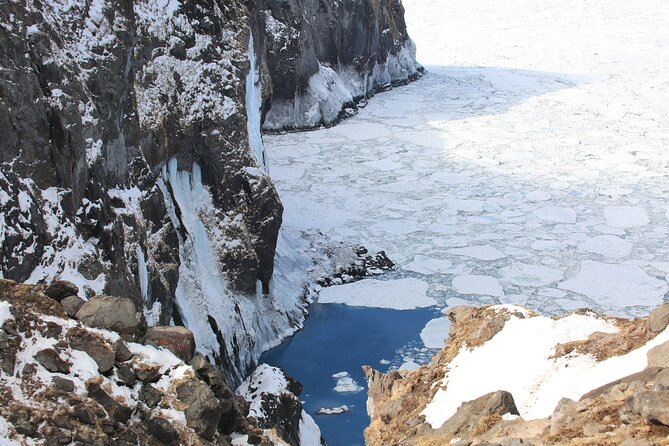 3.5hours Primeval Forest Snowshoe hike and Wildlife Watching Tour - Leaving ordinary paths for animal trails