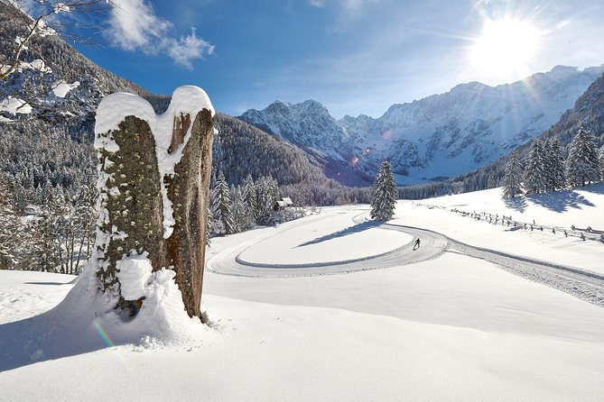 3-Hour Guided Snowshoeing Adventure in the Slovenian Alps - Getting used to snowshoes and poles