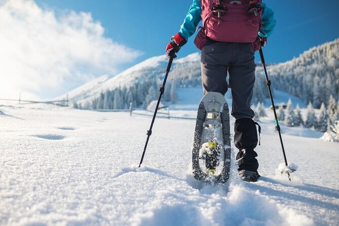 3 Hours of Snowshoeing with Alpine Guide in Val Brembana - What the 300-metre climb means for you