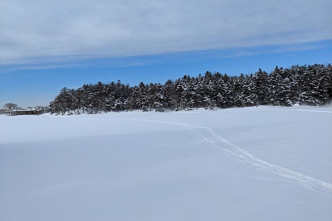 4.5 hours Snowshoe hike in Shiretoko five lakes - Why winter changes the Five Lakes experience
