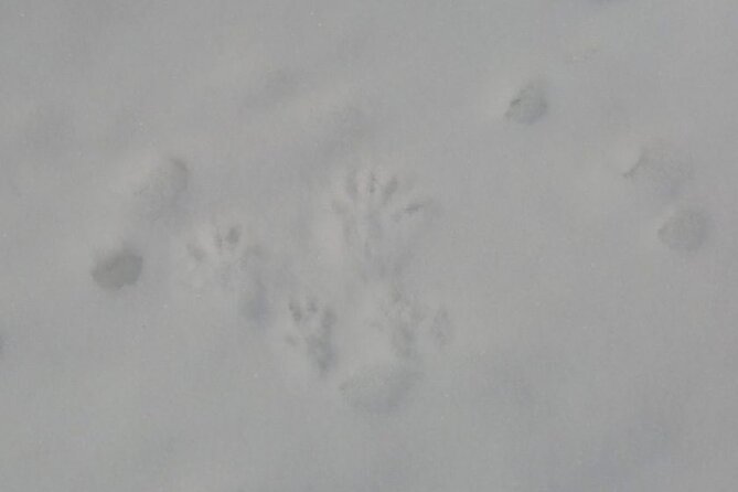 4.5 hours Snowshoe hike in Shiretoko five lakes - Starting at the Utoro roadside rest area