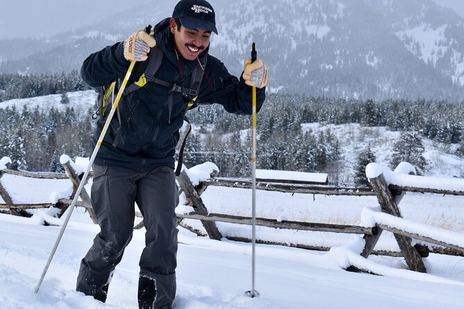 4 Hour Beginner Cross Country Skiing in Grand Teton - The real price: $198 plus equipment and park admission