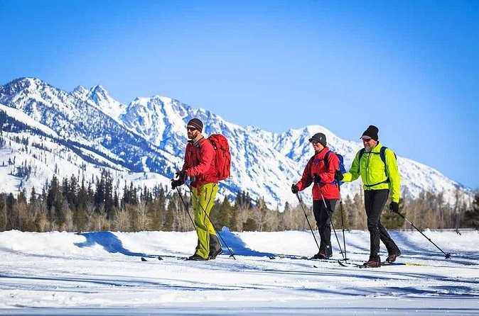 4 Hour Beginner Cross Country Skiing in Grand Teton - Who should book this half-day ski trip