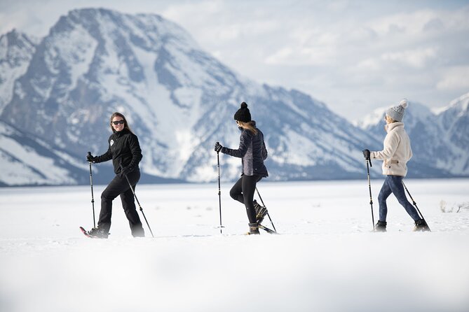 4 hour Snowshoe in Grand Teton National Park - Key things to know before you book