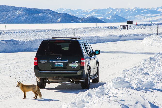4 hour Snowshoe in Grand Teton National Park - Guides who make the difference