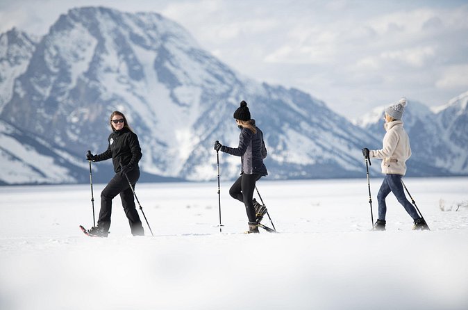 4 hour Snowshoe in Grand Teton National Park - Who will enjoy this most?