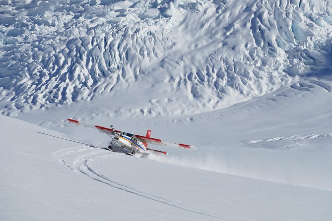 45-Minute Glacier Highlights Ski Plane Tour from Mount Cook - A small aircraft with a personal feel