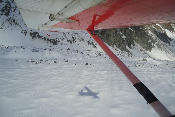 45-Minute Glacier Highlights Ski Plane Tour from Mount Cook - Who should book the Mount Cook ski plane?
