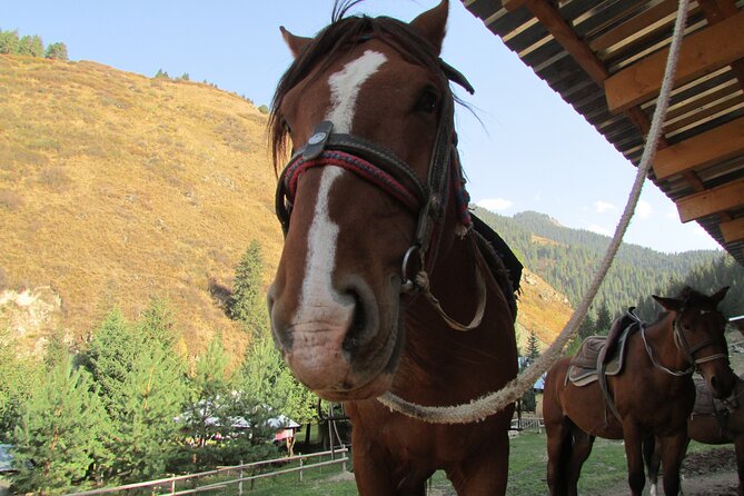 5 days sightseeing and skiing trip in Kyrgyzstan - What the $600 price really covers