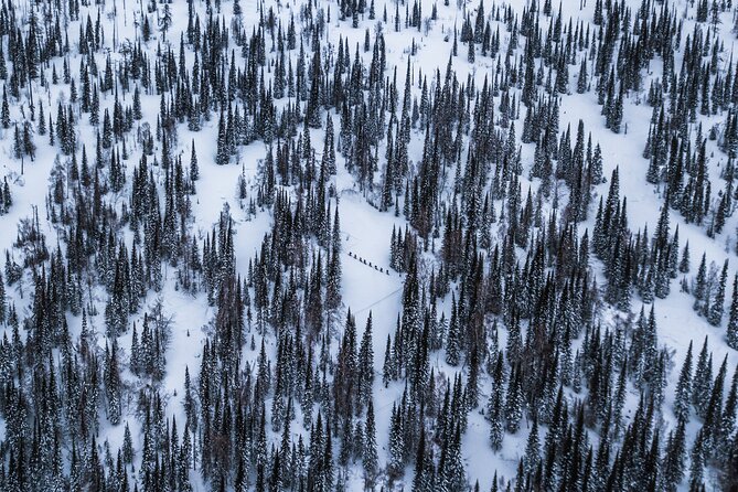 6-Day Kazakhstan Ridder Camp Ski Private Guided Tour and Adventure - Key points at a glance