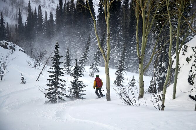 6-Day Kazakhstan Ridder Camp Ski Private Guided Tour and Adventure - What the $1,094.78 price covers