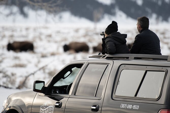 8 Hour Combination Snowshoe & Wildlife Viewing in Grand Teton National Park - Key points to know before booking