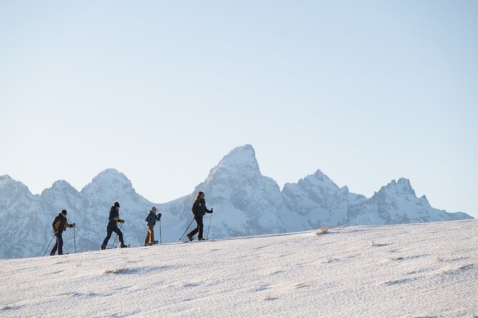 8 Hour Combination Snowshoe & Wildlife Viewing in Grand Teton National Park - Why this eight-hour Grand Teton outing works