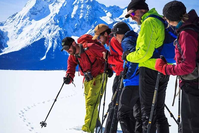 8 Hour Combination Snowshoe & Wildlife Viewing in Grand Teton National Park - Wildlife from a vehicle built for viewing