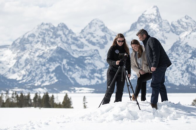 8 Hour Combination Snowshoe & Wildlife Viewing in Grand Teton National Park - Starting at 8:00 a.m. in Jackson