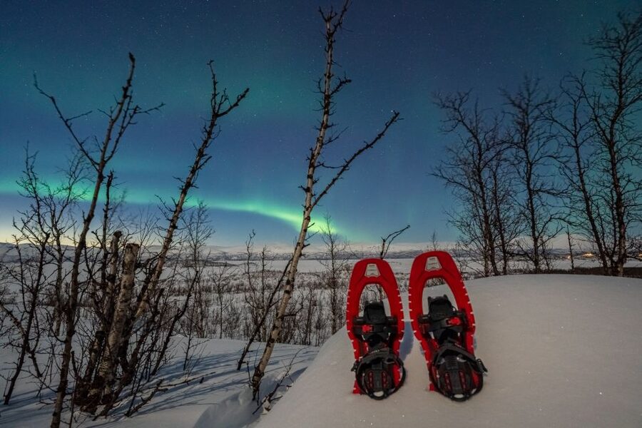 Abisko: Aurora Snowshoeing - Reading the Snow for Wildlife