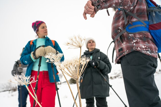 Advanced Snowshoeing Adventure - Key points to know before booking