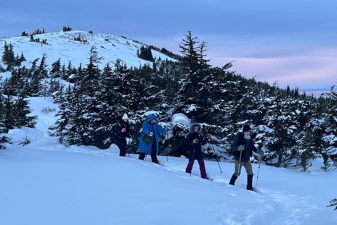 Advanced Snowshoeing Adventure - What your private guide adds