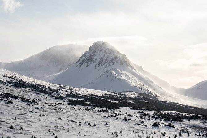 Advanced Snowshoeing Adventure - The fitness test is real