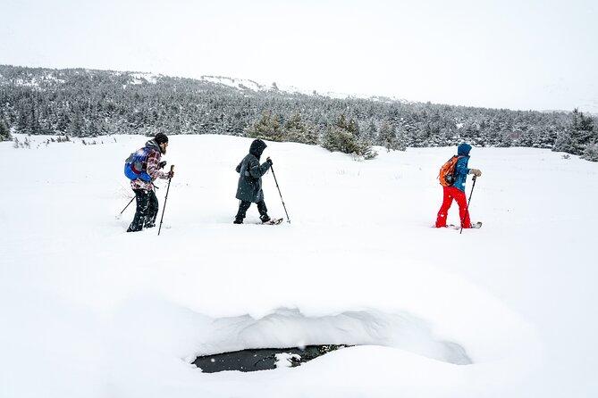 Advanced Snowshoeing Adventure - Weather, timing, and practical details