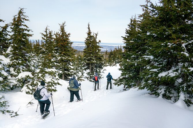 Advanced Snowshoeing Adventure - Forest, open meadows, and mountain views