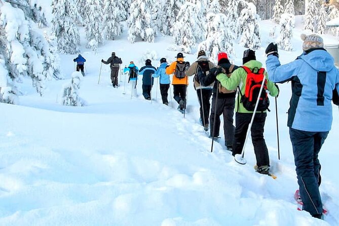 Albuquerque Snowshoe Experience - Learning snowshoes on the Sandia Mountain trails