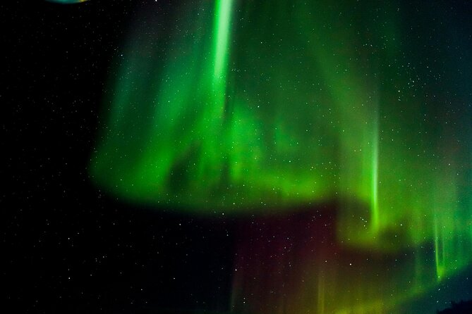 Arctic Darkness & Starlight Adventure with Snowshoes - Key points to know before booking