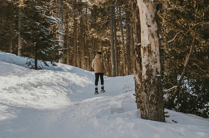 Arctic Darkness & Starlight Adventure with Snowshoes - Northern Lights require patience and luck