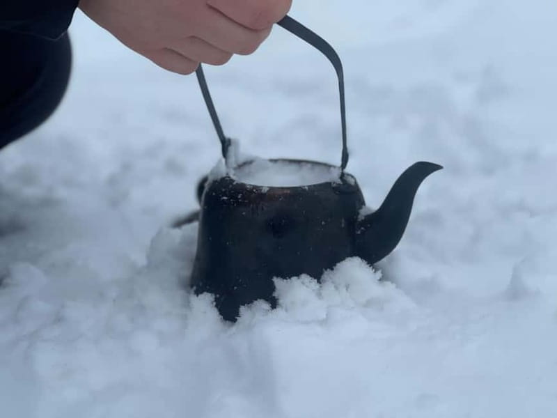 Arctic Gateway: Snowshoeing Expedition in Lapland - Key points to know before you book