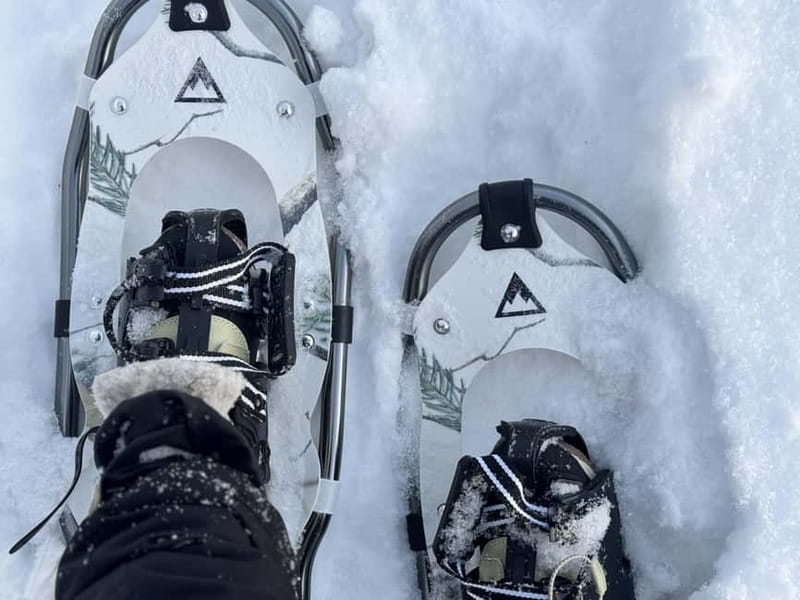 Arctic Gateway: Snowshoeing Expedition in Lapland - Leaving Rovaniemi for the snowy forest