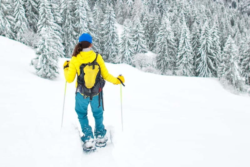 Arctic Gateway: Snowshoeing Expedition in Lapland - Two quiet hours among snow-covered trees