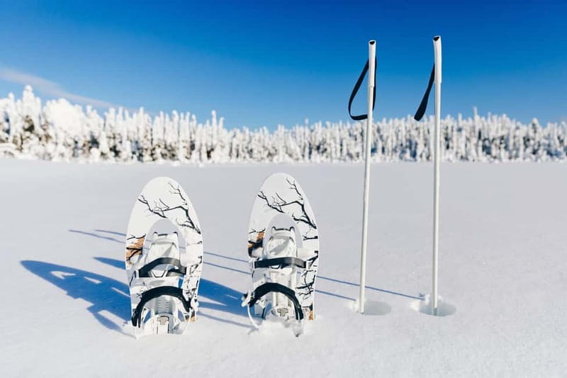Arctic Gateway: Snowshoeing Expedition in Lapland - A campfire pause with hot drinks and snacks