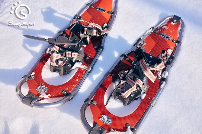 Arctic Ice Fishing by Snowshoe - What the $237 price really covers