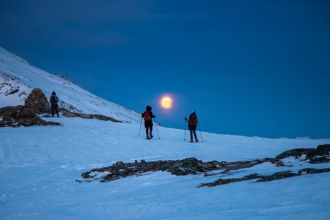 Arctic Landscapes Hiking, Sightseeing & Snowshoeing Private Tour - Why this five-hour outing feels different