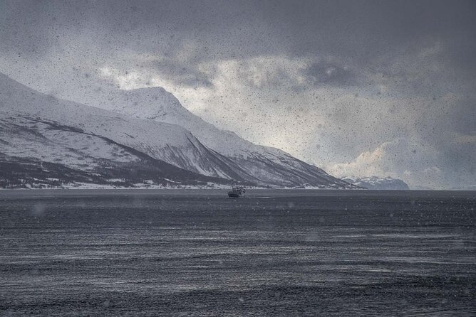 Arctic Landscapes Hiking, Sightseeing & Snowshoeing Private Tour - Weather, clothing, and the limits of Arctic plans