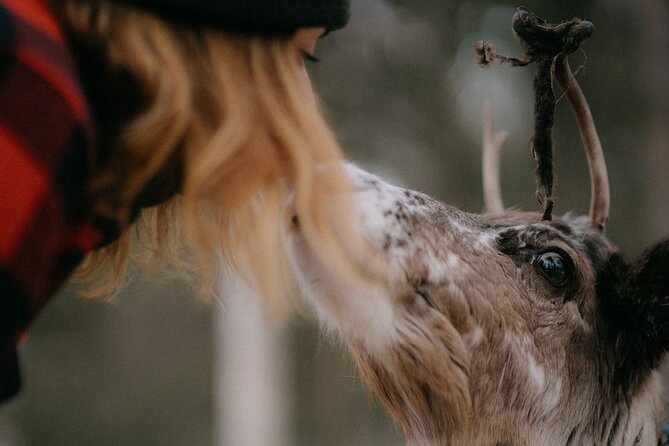 Arctic Reindeer Farm Experience with Snowshoeing in the Wild - Who should book this experience