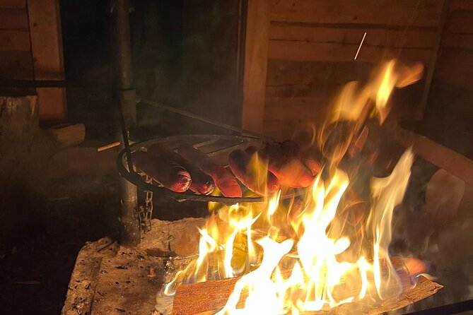 Arctic Reindeer Farm Experience with Snowshoeing in the Wild - Booking details worth keeping in mind