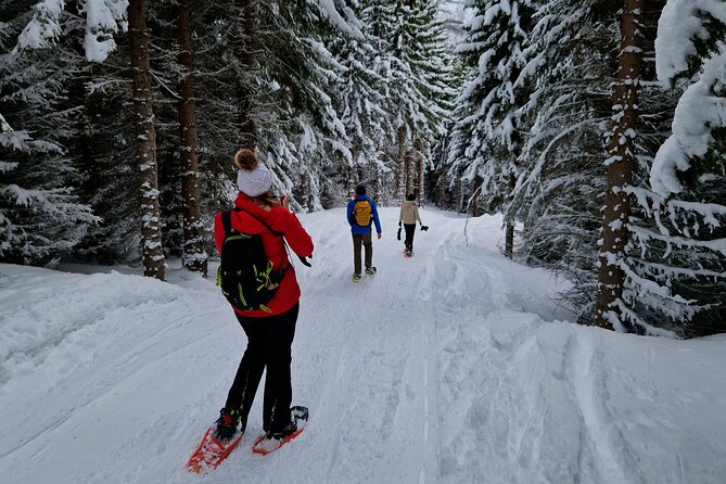 Arctic Snowshoe Hike in Norway - What to wear for four Arctic hours