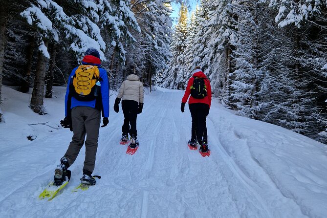 Arctic Snowshoe Hike in Norway - Learning to move on snowshoes or spikes