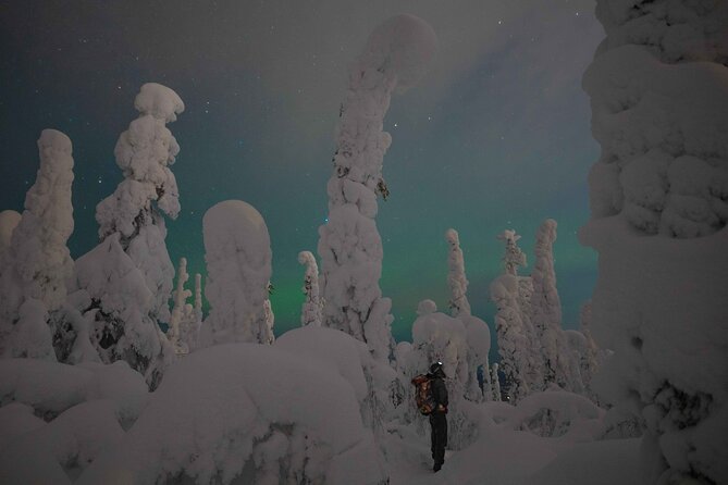 Aurora Borealis Snowshoeing Adventure by Night from Rovaniemi - Key things to know before booking