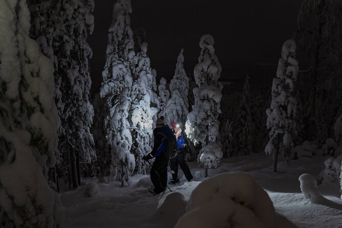 Aurora Borealis Snowshoeing Adventure by Night from Rovaniemi - Choosing between a lake and a hilltop