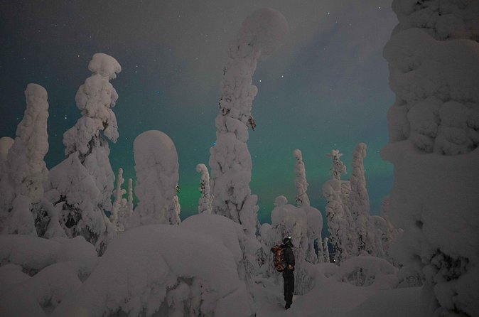 Aurora Borealis Snowshoeing Adventure by Night from Rovaniemi - The Northern Lights are never promised