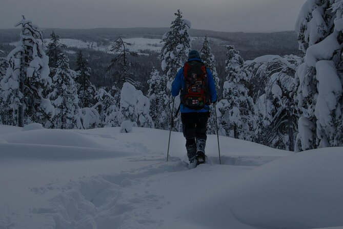Aurora Borealis Snowshoeing Adventure by Night from Rovaniemi - Getting used to snowshoes