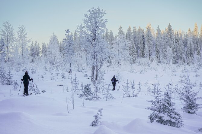 Backcountry Ski Adventure from Rovaniemi - What makes the forest setting special