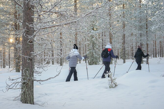 Backcountry Ski Adventure from Rovaniemi - Beginner access, with room for stronger skiers
